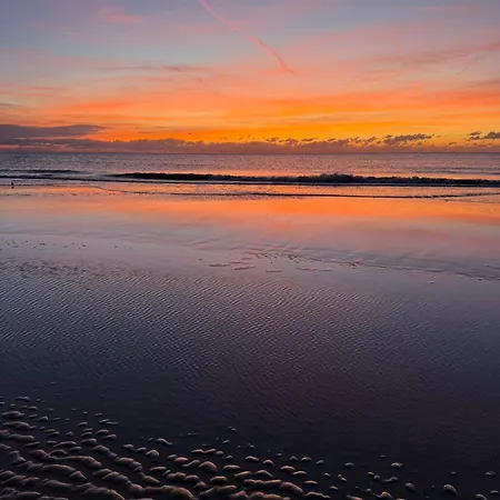 Modern Egmond Apartment Egmond aan Zee